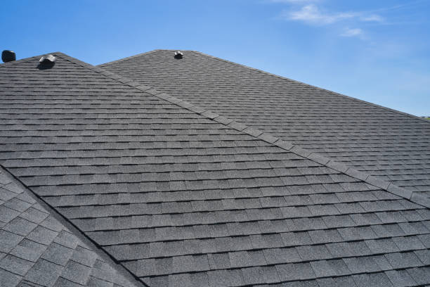 Best Sheet Metal Roofing  in Thunder Mountain, NM